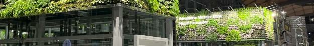 Jardines verticales en a zona de facturaci&oacute;n 